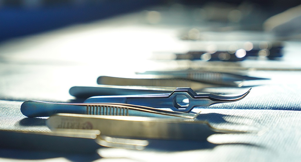 Hair transplant training session